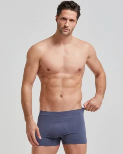 Boxer coste new moving seamless