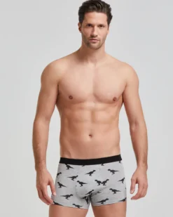 Boxer cotone Dinos