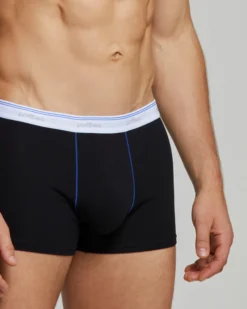 Boxer Tommy X3