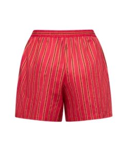 Pompea x Silvian Heach shorts con fantasia rigata